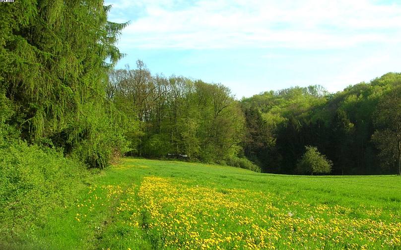 St. Chrischona ( CH )   30. Aprile 2005